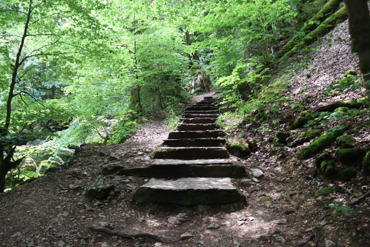 Treppe im Wald kurz vor Champ-du-Moulin